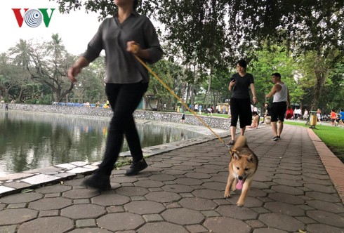 Kinh hãi chó không rọ mõm chạy rông trong công viên Thống Nhất - Ảnh 7.