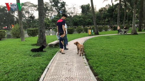 Kinh hãi chó không rọ mõm chạy rông trong công viên Thống Nhất - Ảnh 9.