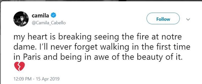 Nghệ sĩ thế giới bàng hoàng trước vụ Nhà thờ Đức Bà Paris bốc cháy: Cảm thấy bất lực khi chứng kiến cảnh tượng này - Ảnh 3.