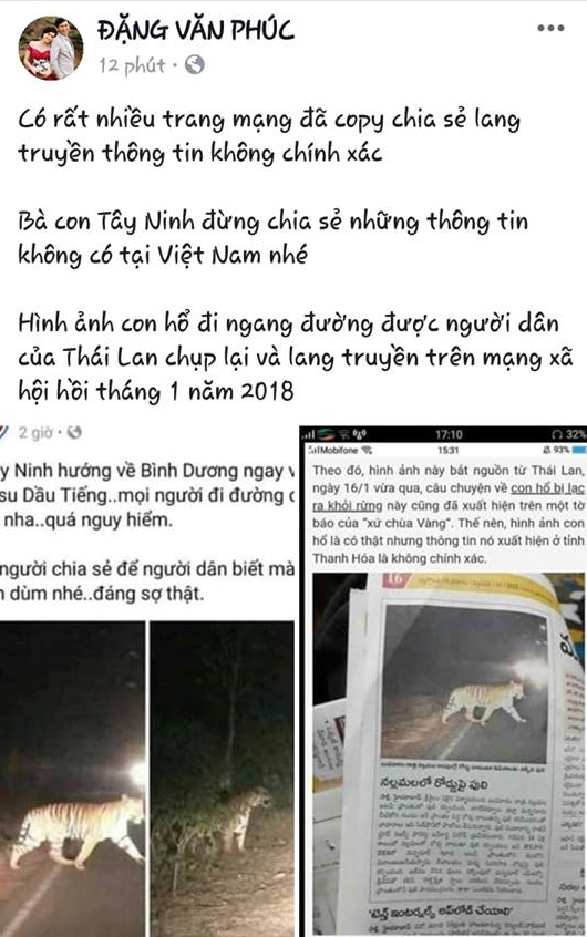 Sự thật thông tin hổ xuất hiện ở Phú Quốc, Thanh Hóa, Tây Ninh - Ảnh 3.