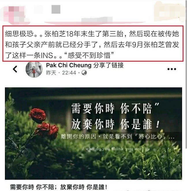 Rộ hình ảnh Trương Bá Chi cùng người đàn ông bí ẩn đi làm thủ tục đăng ký ly hôn - Ảnh 2.
