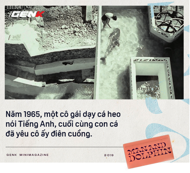 Đọc cuối tuần: Năm 1965, một cô gái dạy cá heo nói Tiếng Anh, cuối cùng con cá đã yêu cô ấy điên cuồng - Ảnh 1.