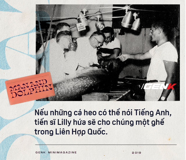 Đọc cuối tuần: Năm 1965, một cô gái dạy cá heo nói Tiếng Anh, cuối cùng con cá đã yêu cô ấy điên cuồng - Ảnh 6.