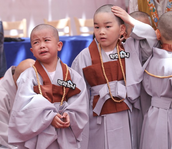 Cưng muốn xỉu trước 50 sắc thái của các chú tiểu ở Hàn Quốc trong ngày lễ Phật đản - Ảnh 14.