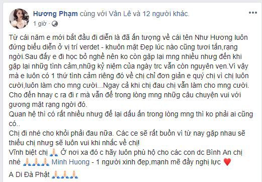 Sao Việt xót xa, đau đớn trước thông tin người mẫu Như Hương qua đời ở tuổi 37 vì ung thư - Ảnh 3.