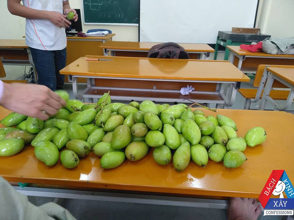 Đỉnh cao xo&agrave;i tặc l&agrave; đ&acirc;y: Sinh vi&ecirc;n B&aacute;ch Khoa chứa nguy&ecirc;n cả một hộc b&agrave;n đầy xo&agrave;i! - Ảnh 1.