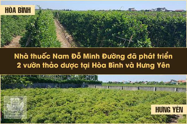 Bệnh xuất tinh sớm là gì? Dấu hiệu, cách chữa trị giúp quý ông đạt đỉnh phong độ - Ảnh 4.