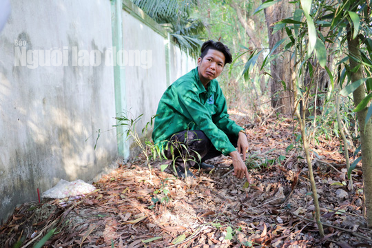 Cà Mau họp báo khẩn vụ hơn 300 thai nhi tại nhà máy rác trong 7 năm - Ảnh 1.