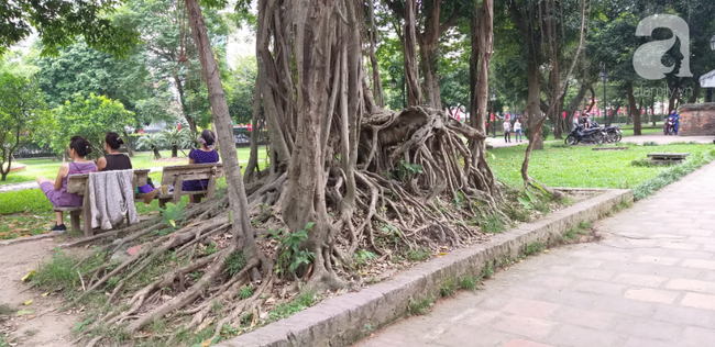 Hà Nội: Ông lão 81 tuổi bị người dân bắt quả tang sàm sỡ cô gái tâm thần trong nhà vệ sinh công cộng - Ảnh 6.