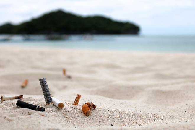 Đây là hòn đảo không thuốc lá đầu tiên trên thế giới và hãy xem môi trường đã cảm ơn nó như thế nào - Ảnh 5.