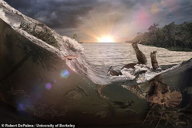 Nghĩa địa hóa thạch tiết lộ thảm kịch kinh hoàng 66 triệu năm trước - Ảnh 1.