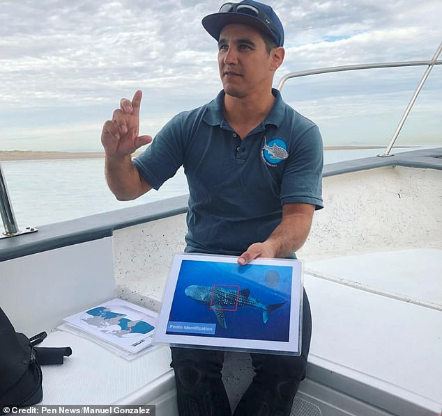 Quái thú biển xanh gây kinh hoàng cho đại dương xuất hiện: Có video bằng chứng; rất hiếm - Ảnh 5.