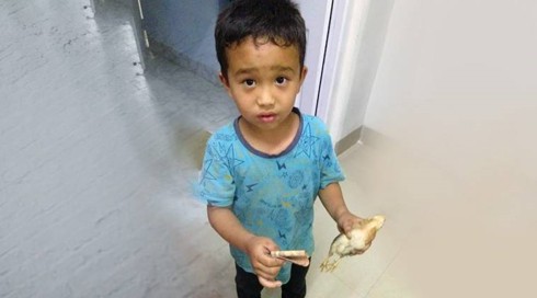 Cảm động cậu bé Ấn Độ đưa gà đi bệnh viện với tất cả số tiền mình có - Ảnh 1. Cảm động cậu bé Ấn Độ đưa gà đi bệnh viện với tất cả số tiền mình có - Ảnh 1.