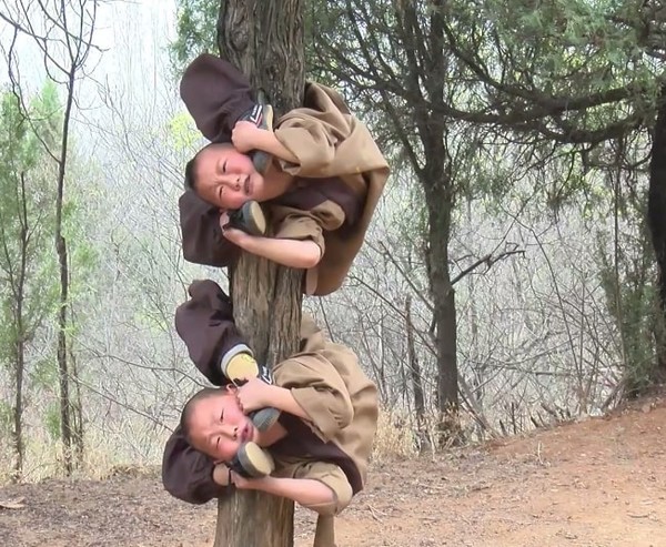 Tiểu hòa thượng treo người lên cây để luyện kung-fu - Ảnh 2.