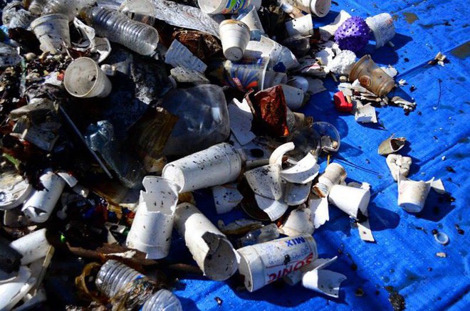 Thành phố này đã mạnh tay cấm kinh doanh toàn bộ nước đóng chai, nhưng tiếc là không phải ở đâu cũng làm được - Ảnh 2. Thành phố này đã mạnh tay cấm kinh doanh toàn bộ nước đóng chai, nhưng tiếc là không phải ở đâu cũng làm được - Ảnh 2.