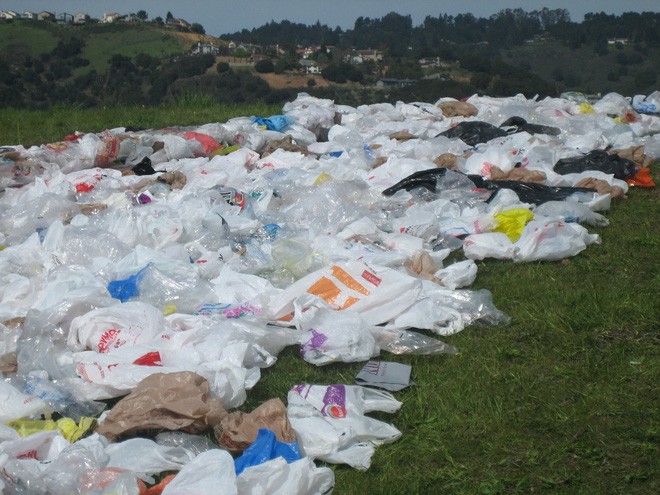 Thành phố này đã mạnh tay cấm kinh doanh toàn bộ nước đóng chai, nhưng tiếc là không phải ở đâu cũng làm được - Ảnh 3. Thành phố này đã mạnh tay cấm kinh doanh toàn bộ nước đóng chai, nhưng tiếc là không phải ở đâu cũng làm được - Ảnh 3.