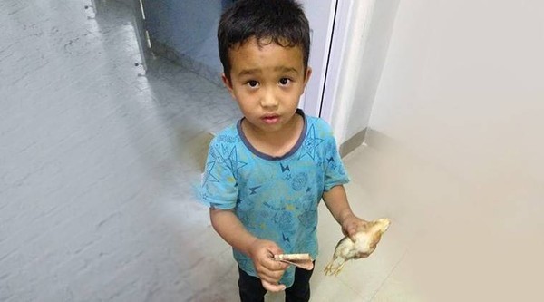 Dốc hết tiền đưa gà con bị thương tới bệnh viện, bé trai 6 tuổi lay động dân mạng nhận bằng khen - Ảnh 1.