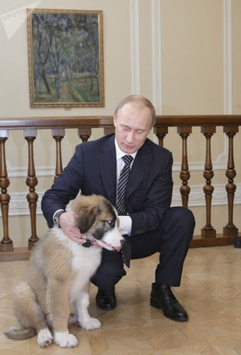 Tiết lộ những món quà bất ngờ mà Tổng thống Nga Putin nhận được - Ảnh 2.