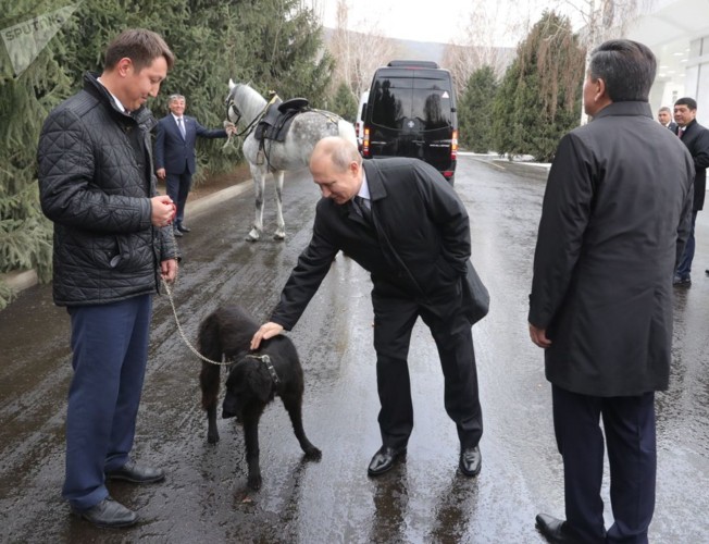 Tiết lộ những món quà bất ngờ mà Tổng thống Nga Putin nhận được - Ảnh 6.