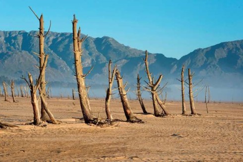 Các địa danh nổi tiếng thế giới bị ảnh hưởng bởi biến đổi khí hậu - Ảnh 5.