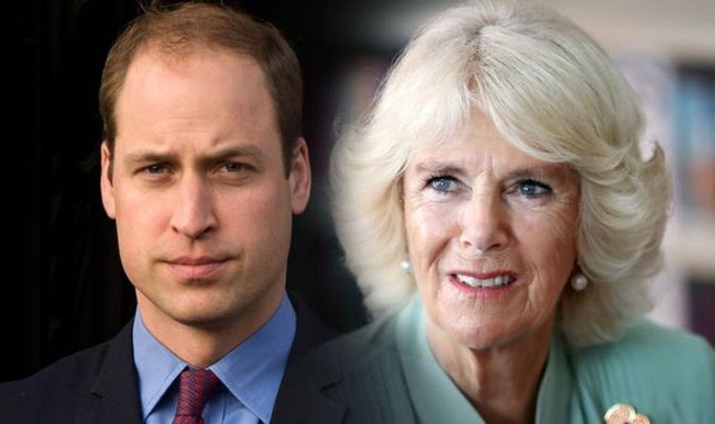 Hoàng tử William đến tận bây giờ vẫn không chấp nhận mẹ kế Camilla, nguyên nhân từ một cuộc gặp bí mật sau khi Công nương Diana qua đời - Ảnh 2.
