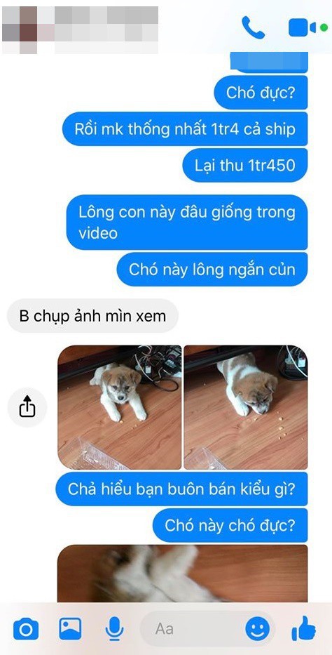 Mua hàng online được nâng lên một tầm cao mới: Mua chó Poodle lai Nhật giá triệu rưỡi, nhận về chó ta 1 tháng tuổi - Ảnh 4.