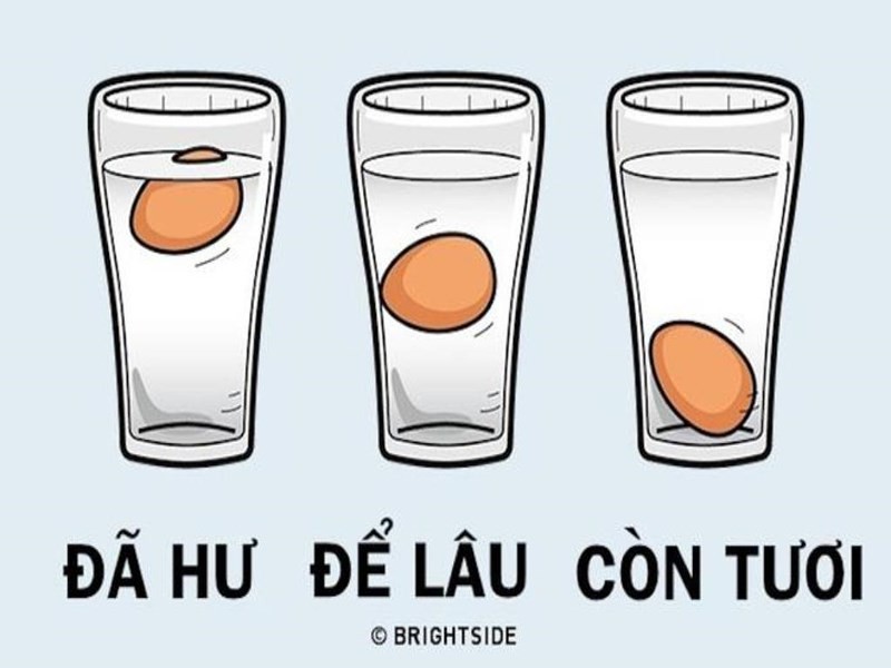 Mẹo nhận biết trứng tươi và trứng bị hỏng - Ảnh 1. Mẹo nhận biết trứng tươi và trứng bị hỏng - Ảnh 1.