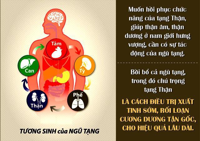       Cách chữa xuất tinh sớm, rối loạn cương dương giúp nam giới lấy lại bản lĩnh     - Ảnh 1.