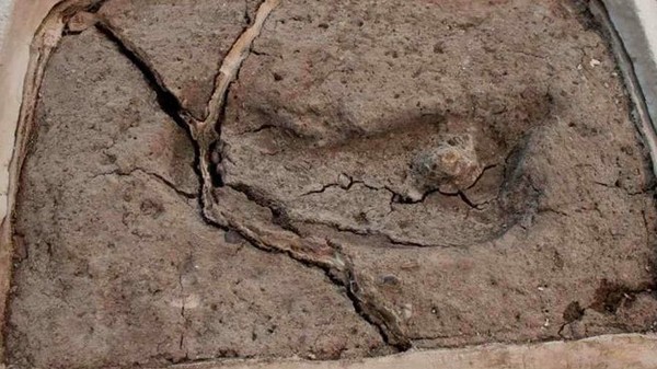 Phát hiện dấu chân người lâu đời nhất ở châu Mỹ - Ảnh 1. Phát hiện dấu chân người lâu đời nhất ở châu Mỹ - Ảnh 1.