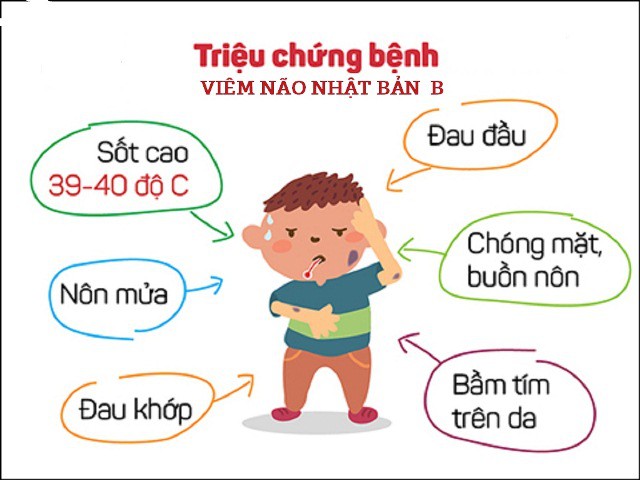 Hà Nội đã có trẻ đầu tiên mắc viêm não Nhật Bản, mùa hè là giai đoạn cao điểm của bệnh này - Ảnh 2.