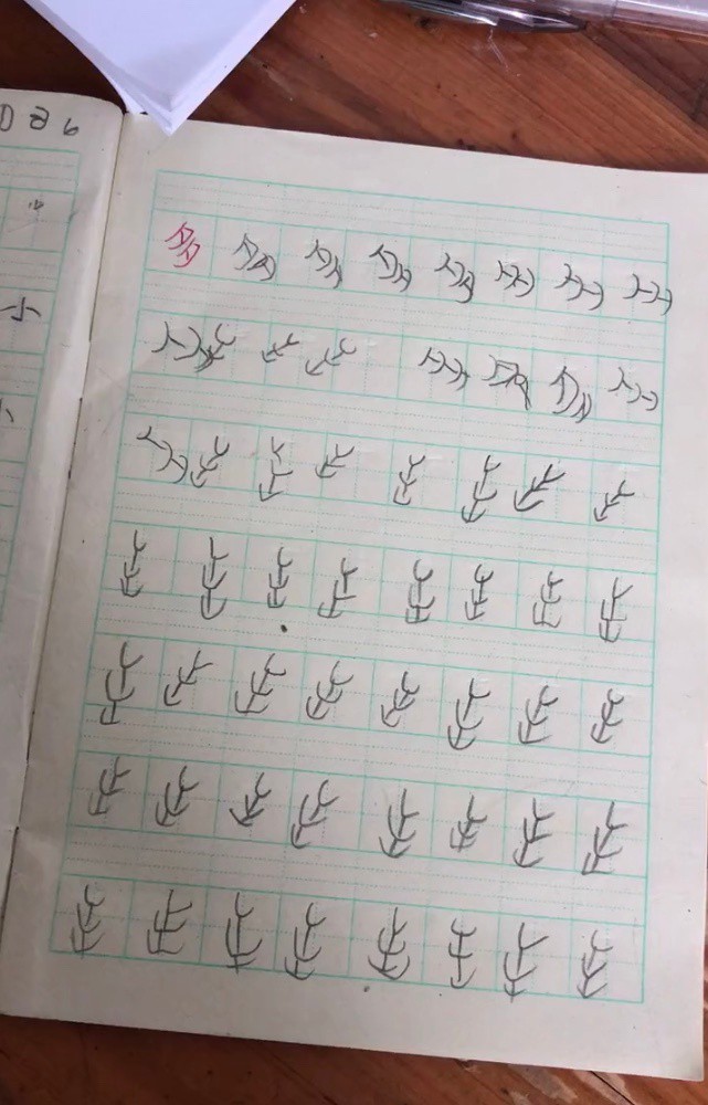 Học sinh tập viết như ngôn ngữ ngoài hành tinh khiến cô giáo hoang mang cảm thấy như mình bị mù chữ - Ảnh 8.