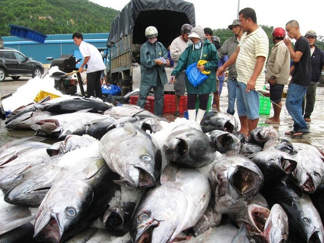Trung Quốc miễn thuế hơn 30 mặt hàng thủy sản Việt Nam - Ảnh 1.