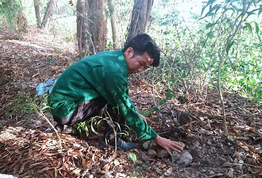 Vụ hơn 300 thi thể thai nhi ở nhà máy rác: Tạm dừng khai quật hũ sành - Ảnh 1.