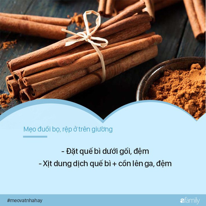 Bọ rệp giường hoành hành ngày mưa ẩm, chỉ cần nguyên liệu này thôi là ...