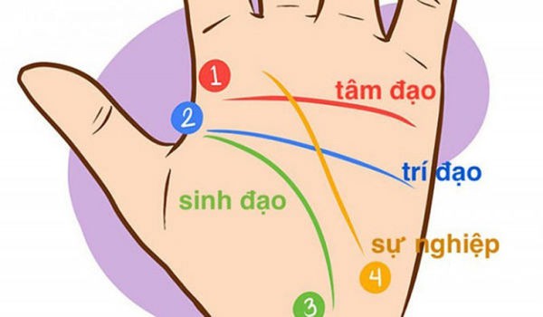 Xem chỉ tay hiếm gặp, không sớm thì muộn cũng phát tài - Ảnh 1.