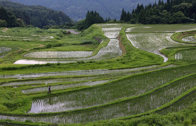 Loài tôm lạ sống trong sa mạc: Cổ nhất hành tinh, 50 năm không có nước mà trứng vẫn nở tốt - Ảnh 8. Loài tôm lạ sống trong sa mạc: Cổ nhất hành tinh, 50 năm không có nước mà trứng vẫn nở tốt - Ảnh 8.
