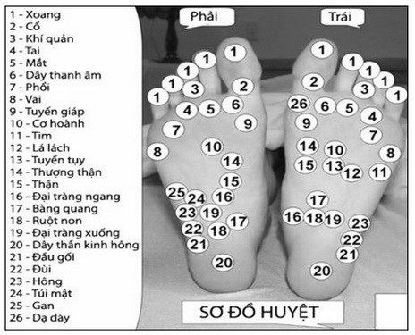 5 vùng dưỡng sinh kỳ diệu - Ảnh 1.