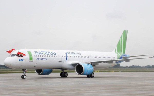 Tập đoàn FLC đã đổ bao nhiêu tiền vào Bamboo Airways? - Ảnh 1.
