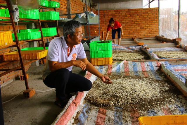 Lạ Đồng Tháp: Bán trứng ruồi 15 triệu/kg - Ảnh 2.