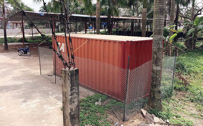 Sau gần nửa năm bảo quản trong container, 2 cây sưa trăm tỷ sẽ bán đấu giá cuối tháng 6 - Ảnh 1.