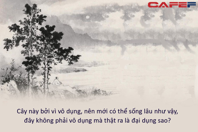 Mượn chuyện cây cối, cổ nhân truyền dạy đạo lý ngàn đời không đổi: “Hữu dụng” hay “vô dụng”, không thể thoáng qua mà biết; vật vô dụng, đặt đúng chỗ cũng có ích - Ảnh 2.