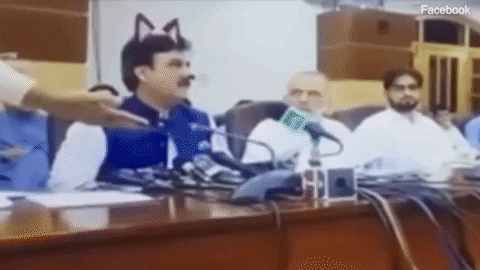 Buổi livestream của chính trị gia gây sốt cộng đồng mạng chỉ bởi người quay clip chỉnh nhầm hiệu ứng mặt mèo - Ảnh 3.