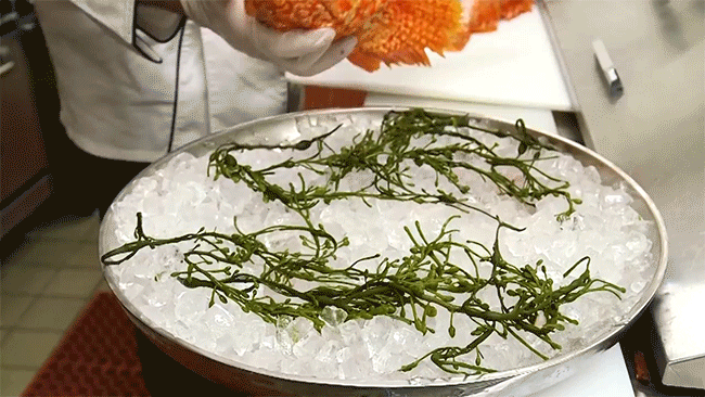 Mang loài cá có nọc độc nhất thế giới đi chế biến món ăn và đây là hương vị thật sự của nó - Ảnh 3.