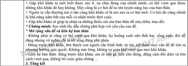 Đáp án tham khảo môn Ngữ văn thi vào lớp 10 công lập ở Hà Nội - Ảnh 2.