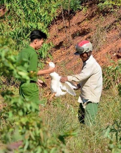 Chính quyền thông tin vụ “hôi vịt” sau tai nạn giao thông - Ảnh 1.