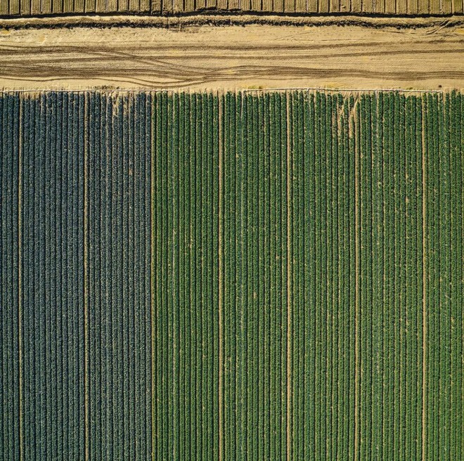 Khi những nông trại hóa thành bức ảnh nghệ thuật đẹp mê hồn dưới góc nhìn từ máy bay - Ảnh 9.