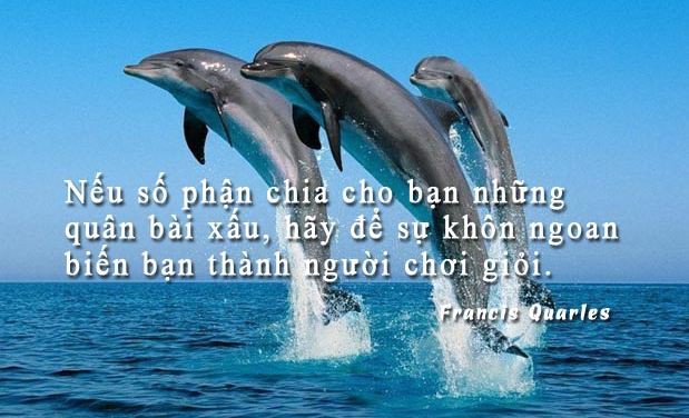 Ghi nhớ 4 câu thần chú này, ai cũng sẽ tránh được bể khổ để sống an yên suốt đời - Ảnh 6.