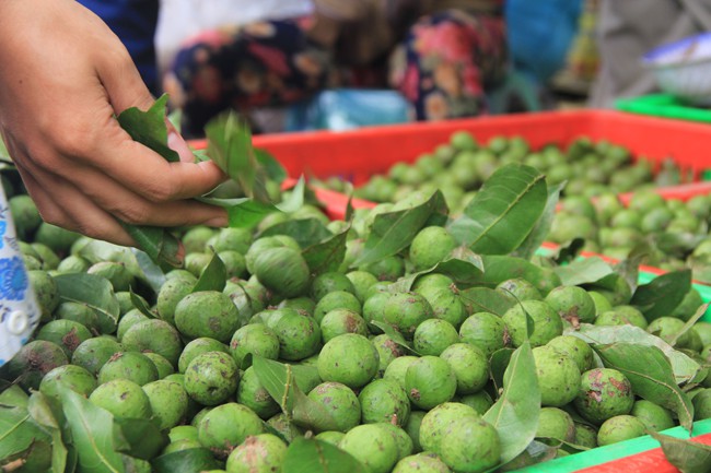 Mùa hè khát cháy, đừng bỏ qua tác dụng giải nhiệt tuyệt vời của quả sấu - Ảnh 1.