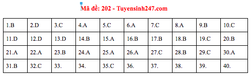 Gợi ý đáp án thi môn Vật lý THPT Quốc gia 2019 tất cả các mã đề - Ảnh 5.