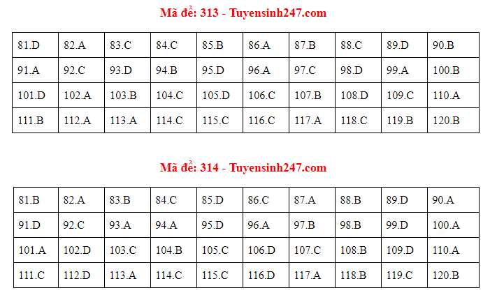 Cập nhật gợi ý đáp án môn Giáo Dục Công Dân THPT Quốc gia 2019 - Ảnh 12. Cập nhật gợi ý đáp án môn Giáo Dục Công Dân THPT Quốc gia 2019 - Ảnh 12.